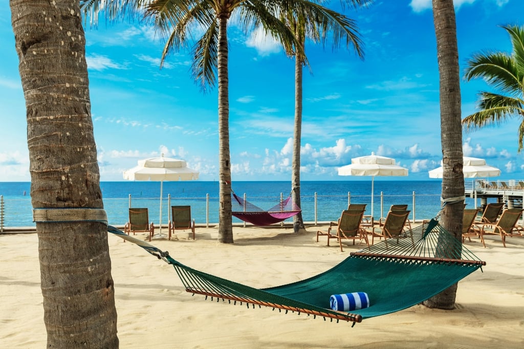 A green hammock hanging between palm trees on the beach.