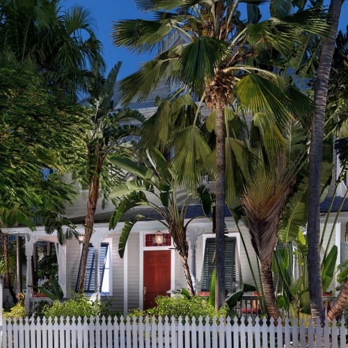 Entrance to Dewey House, large white house with red door surrounded by palm trees.