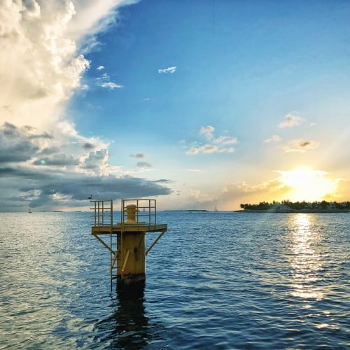 A tall yellow structure stands in the water, with a pelican perched on top. The sun sets over Key West, casting a warm glow across the ocean and silhouetted trees.