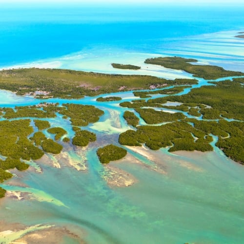 Lush green mangroves intersperse with vibrant turquoise waters, forming intricate patterns in The Keys near Key West. The vast blue ocean stretches into the horizon, framing the landscape.