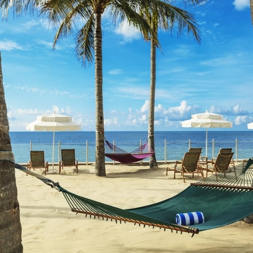 A green hammock rests between palm trees on a sandy beach, overlooking lounge chairs and white umbrellas near the ocean in Key West.