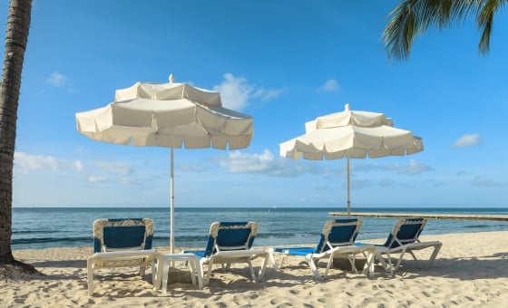 Lounge chairs and umbrellas under palm trees at Southernmost Beach Resort.