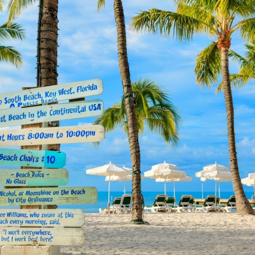 Various signs plastered to a palm tree with white beach umbrellas and lounge chairs in the background.
