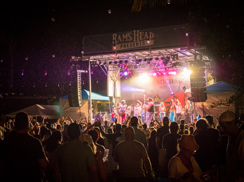 View from the crowd of a band on stage at night.