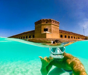 Man snorkeling with Dry Tortugas National Park in the background