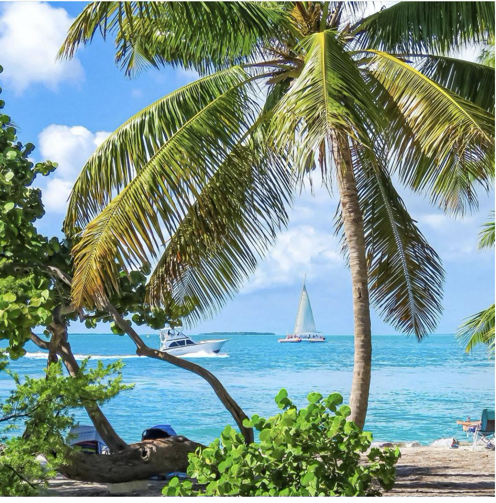 Fort Zachary Taylor Beach, Key West sail boats in the background and palm trees at shore line.