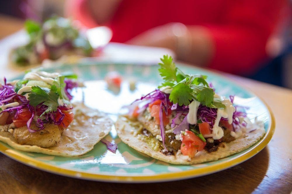 Beautifully plated fish tacos garnished with cilantro and red onion