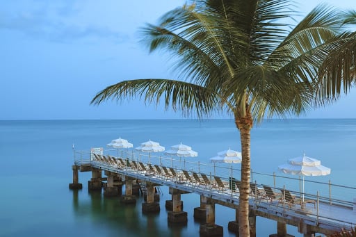 A long dock with beach chairs, umbrellas and a palm tree.