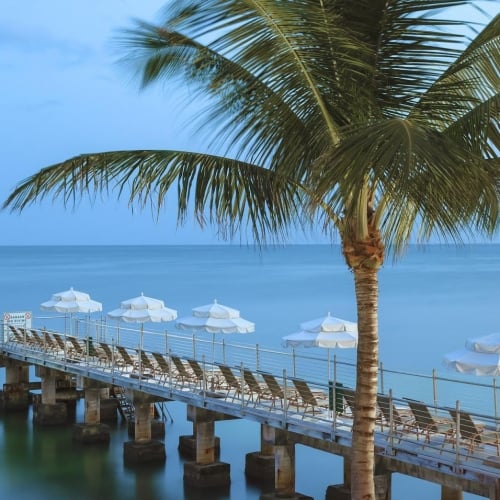 A palm tree stands beside a wooden pier with lounge chairs and white umbrellas overlooking the calm blue ocean in Key West. A sign reads