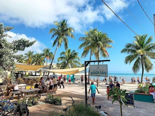 Picture of a beach and palm trees