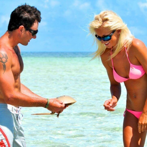 A man displays a horseshoe crab to a woman in a bikini, both wearing sunglasses, standing in shallow, clear waters. The Keys provide a bright, sunny backdrop of blue skies and ocean.