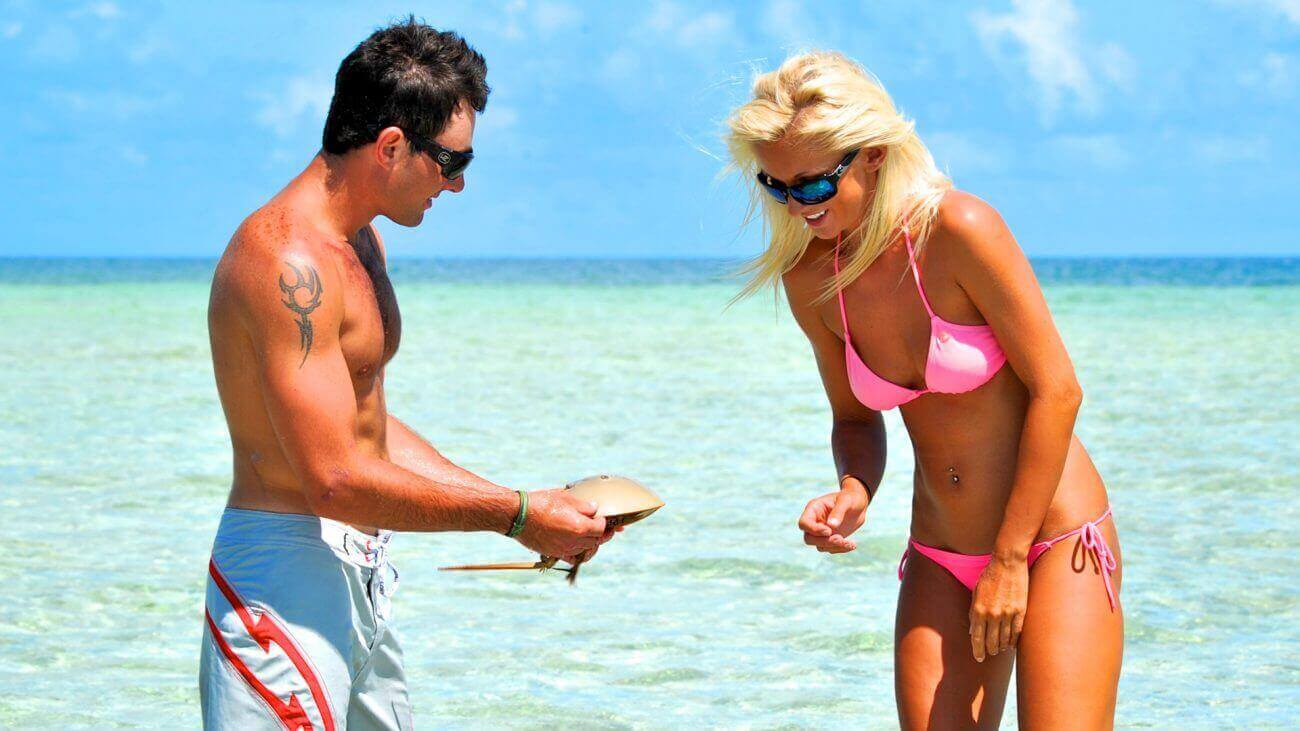 Man and woman on beach looking at shell