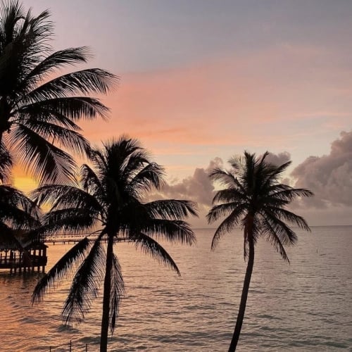 The Beach Resort Experience in Key West 10