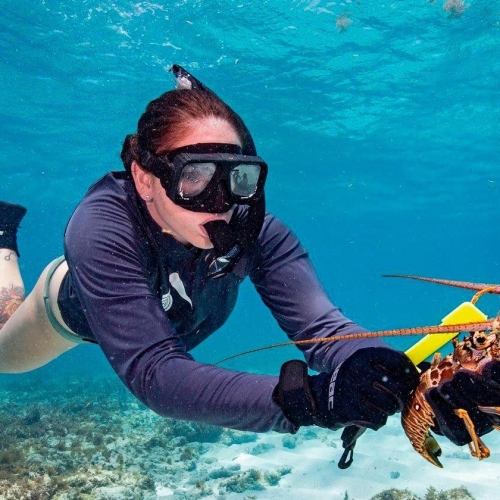 A scuba diver holds a spiny lobster underwater, wearing fins and a wetsuit, with sand and seaweed visible on the ocean floor. Location: The Keys.