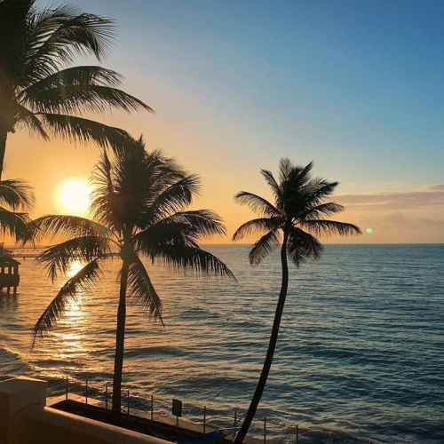 Palm trees stand silhouetted against a setting sun, casting reflections on the ocean waters in Key West. A wooden pier extends over the calm sea, surrounded by an orange and blue sky.