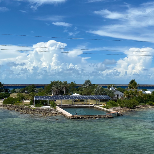 The Timeless Allure of Pigeon Key in the Florida Keys