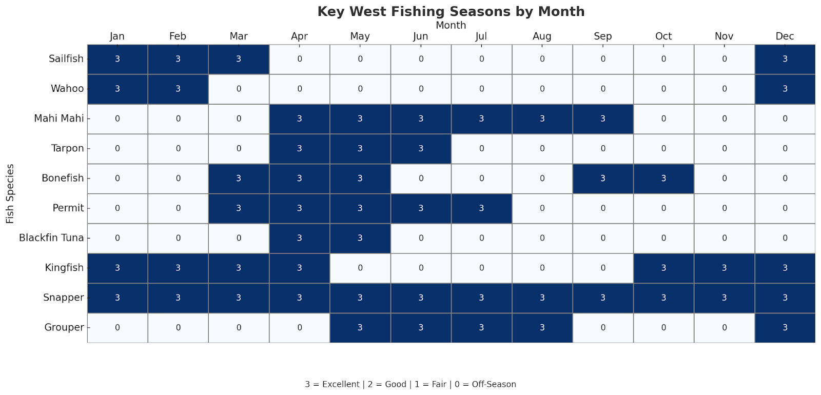 Key West Fishing Guide: Top Catches & Best Times to Reel Them In 1