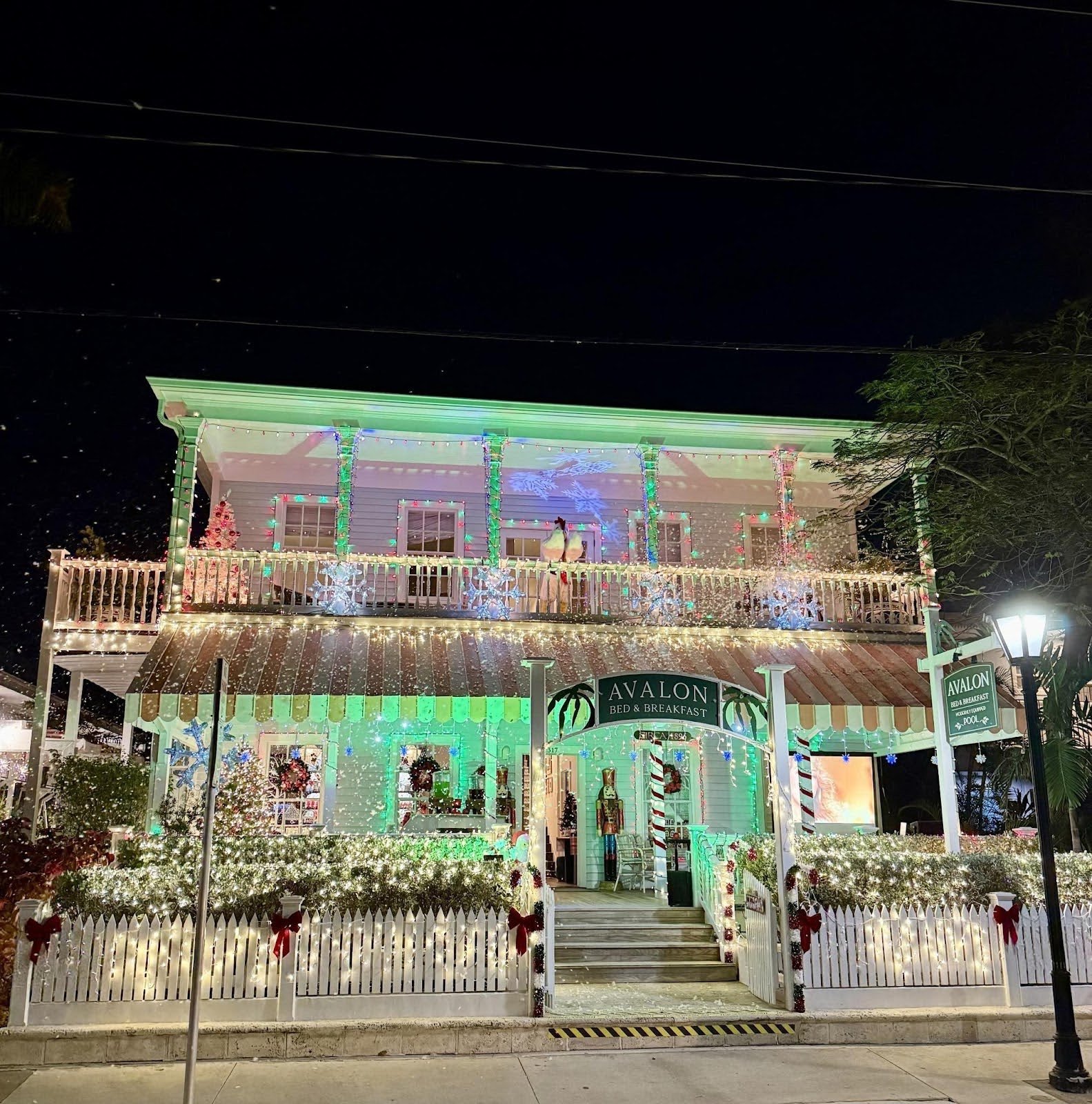 2026 Key West Festivals: An Insider's Guide to the Year's Top Events 6