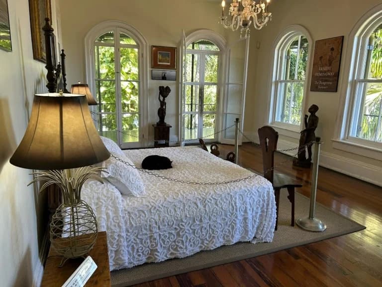 cat on Hemingway bed