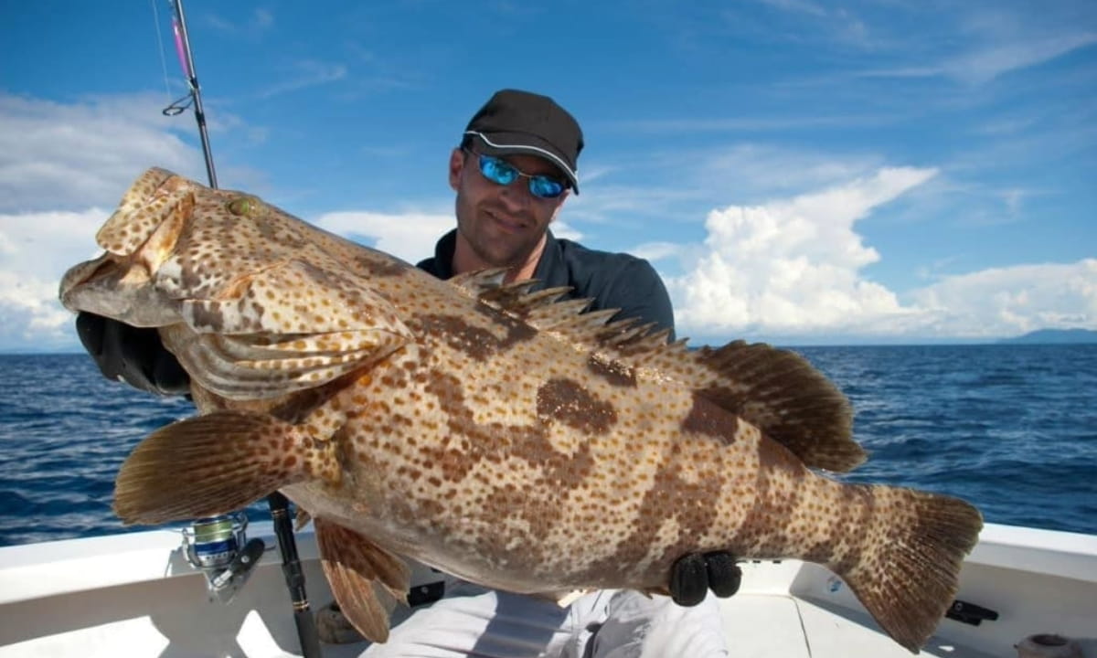 People deep sea fishing