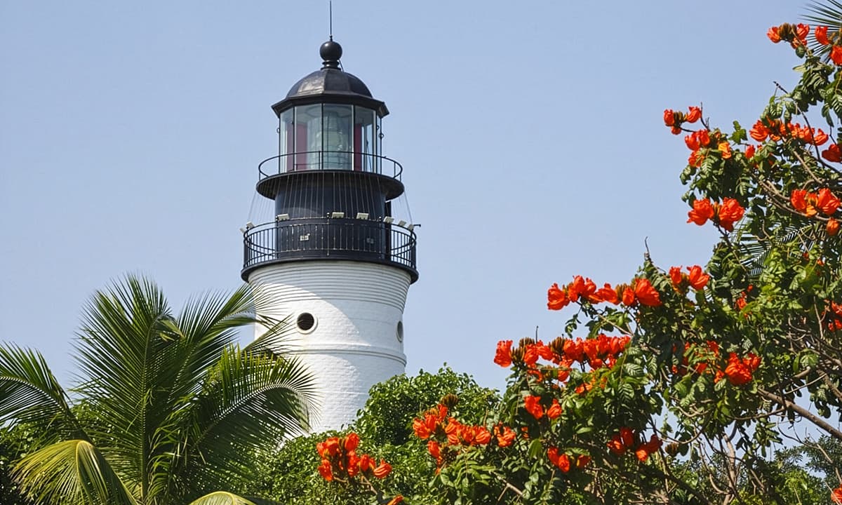 A lighthouse surrounded by trees