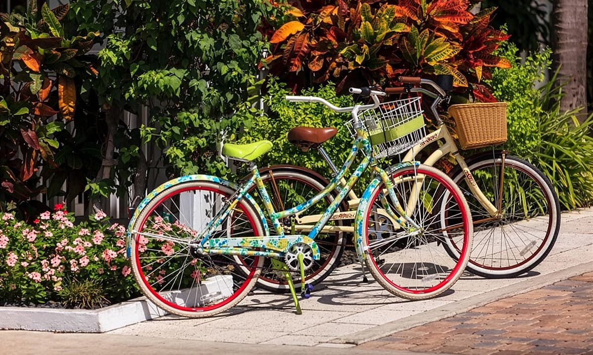 Rental bikes