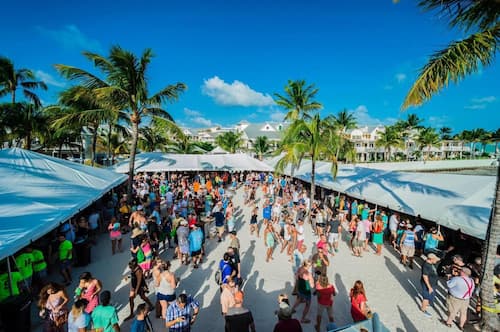aerial view of crowd at festival