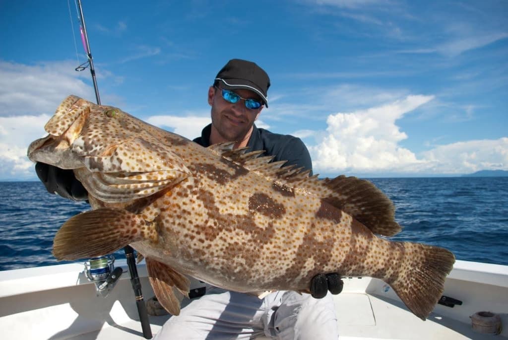 Man holding large fish