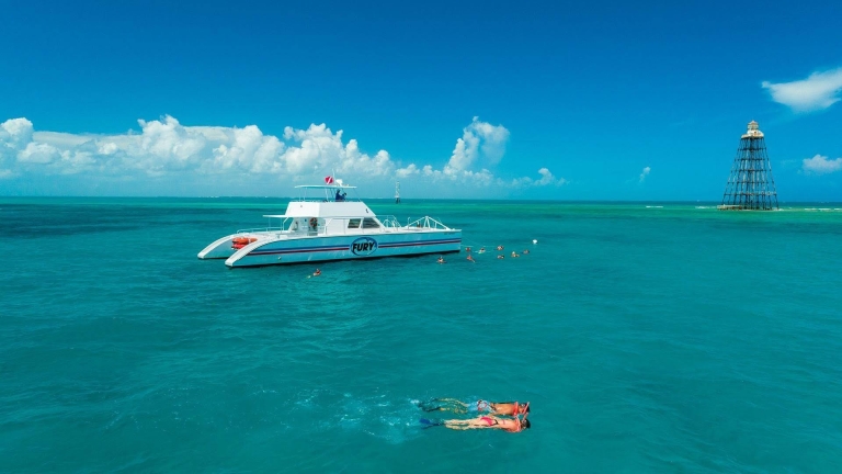 people snorkeling near boat