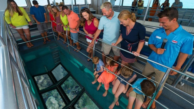 people looking through boat to sea life below