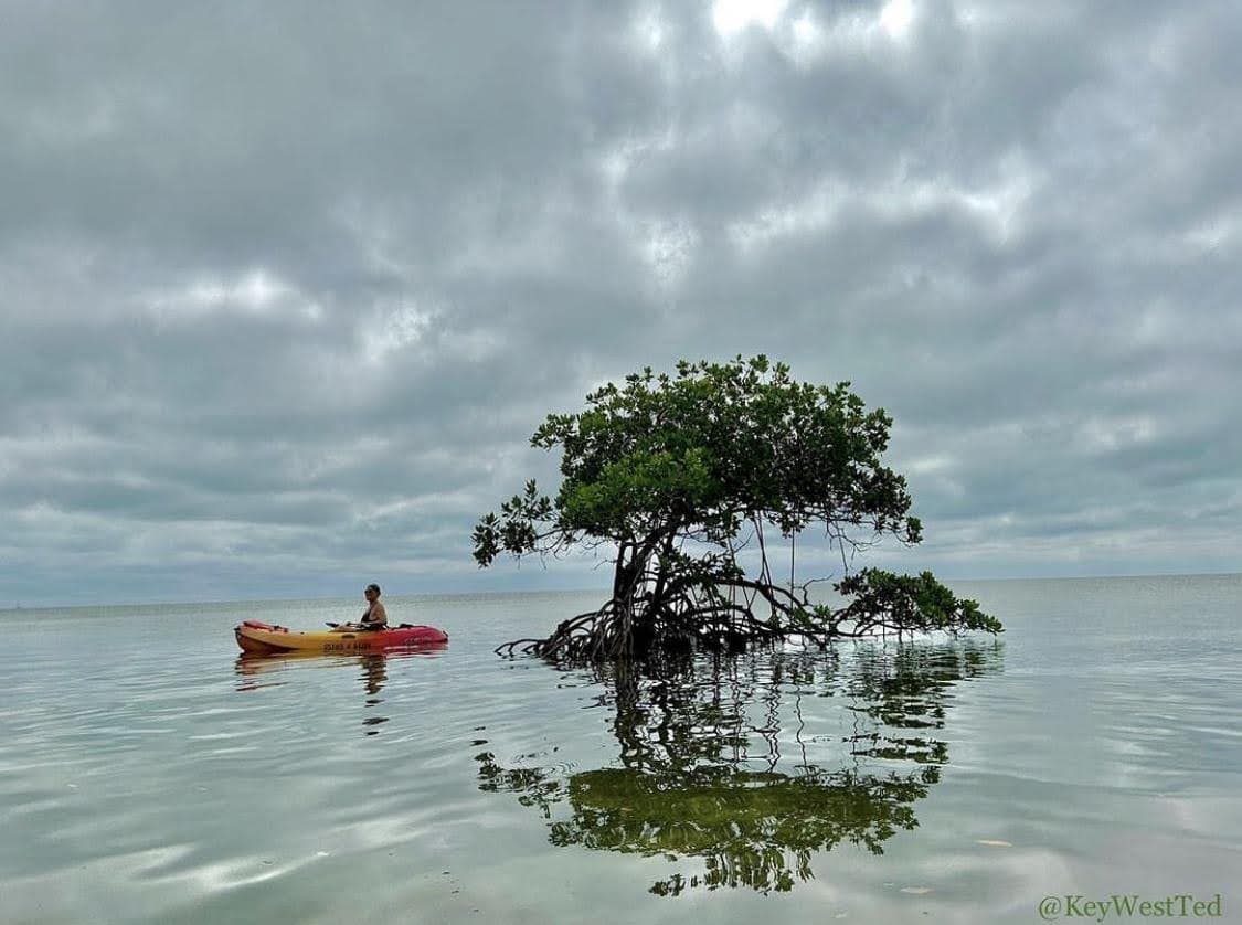 guy kayaking in ocean