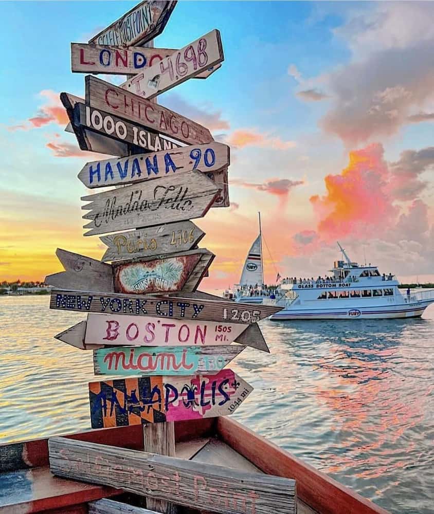signs pointing in all directions by water
