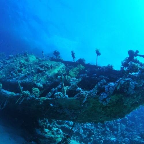 Old sunken ship at the bottom of the ocean. 
