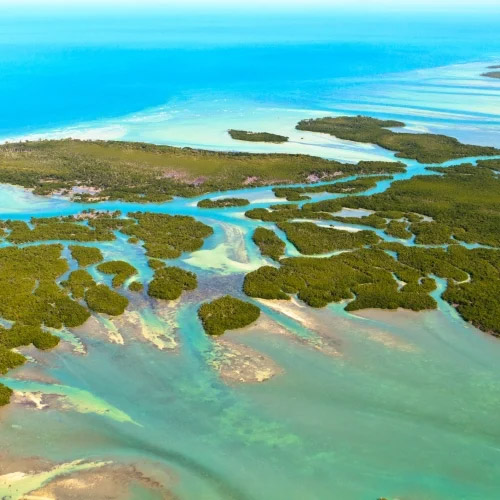 Ocean aerial view.